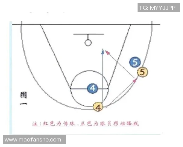 西安篮球队默契配合探讨与战术分析助力球队发展