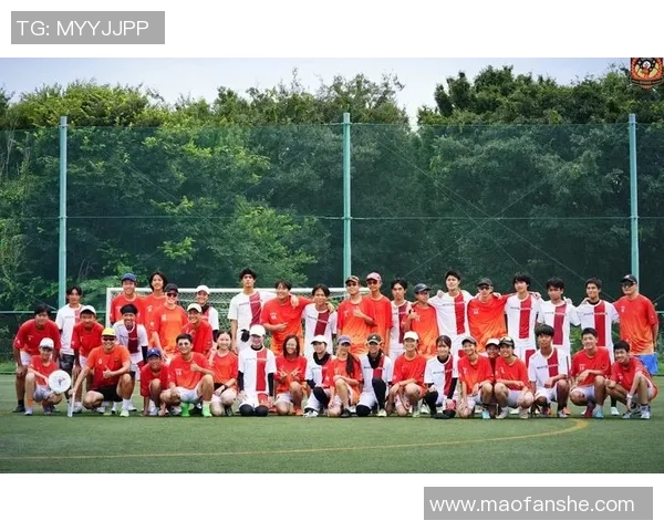 武汉飞盘队与北京飞盘队赛后状态分析与表现总结