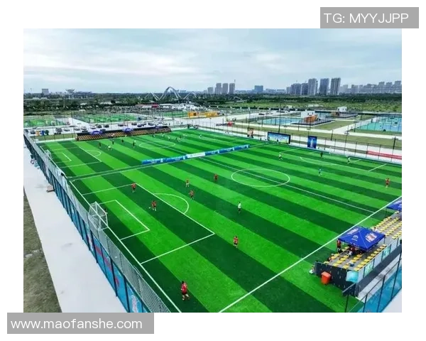 海棠园足球：青春激情与团队协作的完美结合与成长之路